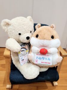 ハムちゃん帰宅後写真