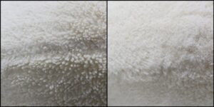 こり様毛並みふわふわ治療