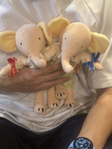 ぞうさん帰宅後写真