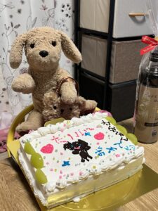 わんちゃん帰宅後写真