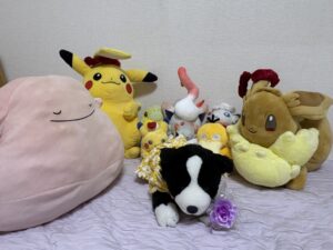 クローバー様帰宅後写真