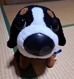 ヒルーチ様帰宅後写真