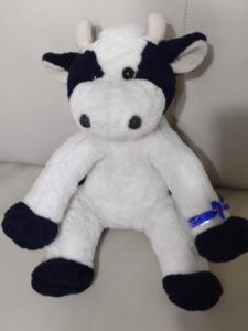 こん様帰宅後写真