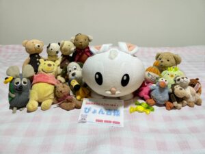 ぴょん吉様帰宅後写真