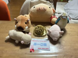 ぶーこ様帰宅後写真