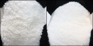 レオ様毛並みふわふわ