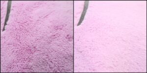 モンちゃん毛並みふわふわ