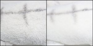 ライたん様毛並みふわふわ