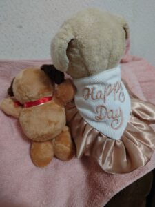 サニー様帰宅後写真