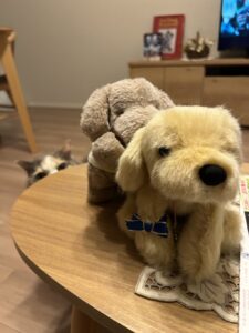 くた様帰宅後写真