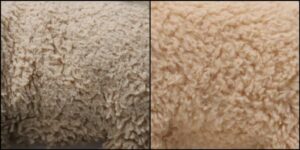 ワンちゃん事前ピーリング