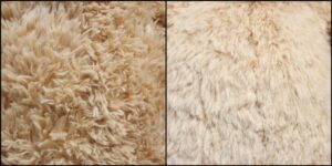 ちい様毛並みふわふわ