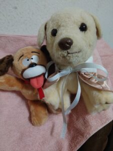 サニー様帰宅後写真1