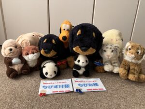 ちびた様＆ちびすけ様帰宅後写真