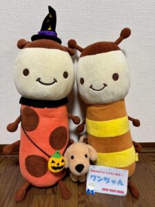 ワンちゃん帰宅後写真