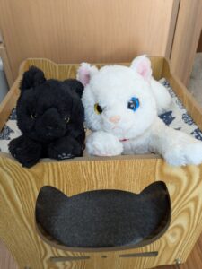 おちび様帰宅後写真