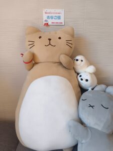 きなこ様帰宅後写真