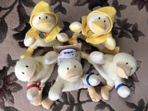 かっか４，５、６号帰宅後写真