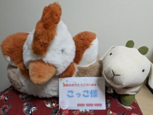 こっこ様帰宅後写真