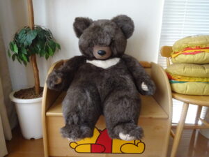 くまさん帰宅後写真