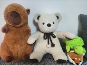 まうまう様帰宅後写真