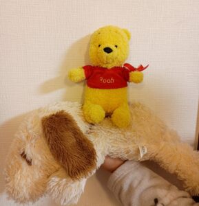 ぷぅ様帰宅後写真