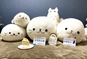 もちたん様帰宅後写真