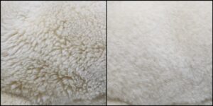 わんた様毛並ふわふわ治療