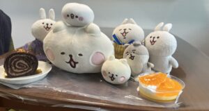 でかねー様帰宅後写真