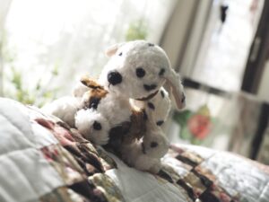 わんわん様＆てんてん様帰宅後写真