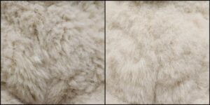 むさし様毛並みふわふわ