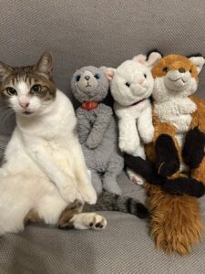 にゃんにゃん様帰宅後写真