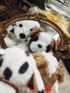 わんわん様＆てんてん様帰宅後写真