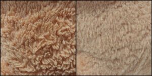 まめた様毛並みふわふわ治療