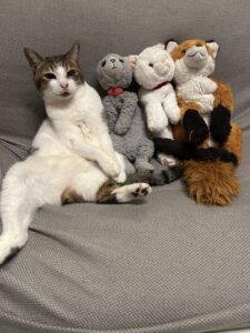 にゃんにゃん様帰宅後写真