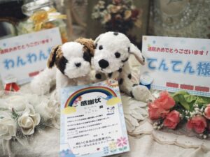 わんわん様＆てんてん様帰宅後写真