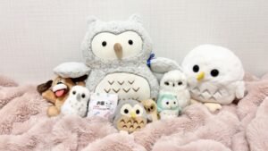 とぅとぅ様帰宅後写真