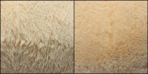 プー様(大)毛並ふわふわ治療