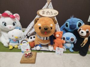 まめた様帰宅後写真