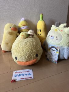 ぴよちゃん帰宅後写真
