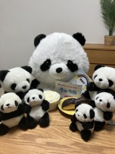 ろぉろ様帰宅後写真