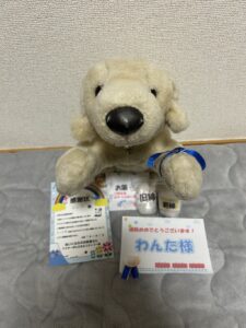 わんた様帰宅後写真