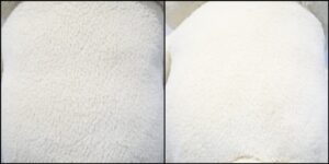 こりちゃん毛並みふわふわ治療