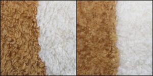 ゆいか様毛並みふわふわ治療