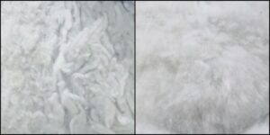 しろくまくん毛並みふわふわ