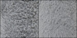 ムッくん毛並みふわふわ