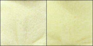 ぱぷ様ピーリング