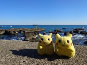 チャピくん帰宅後写真