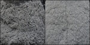 うーちゃん毛並みふわふわ