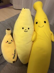 バナちゃん帰宅後写真